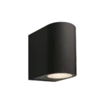 gilvus negro